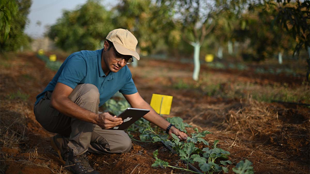 Pessoa ajoelhada num campo agrícola, a verificar algo com tablet, entre linhas de terra num ambiente rural ao ar livre.